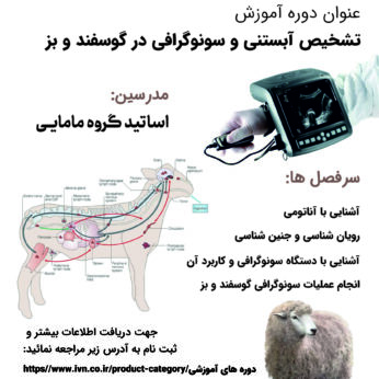 دوره آموزشی تشخیص آبستنی و سونوگرافی در گوسفند و بز