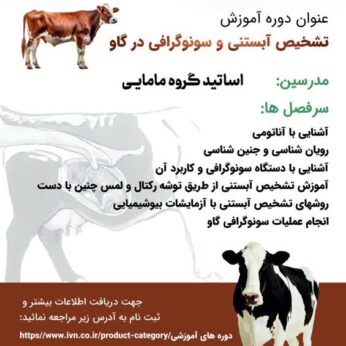 دوره آموزشی تشخیص آبستنی و سونوگرافی در گاو