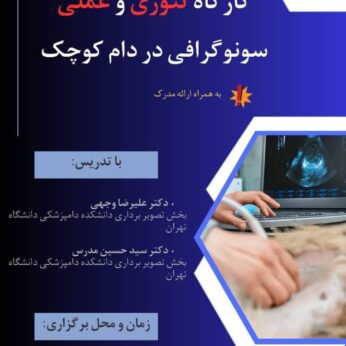دوره آموزشی تئوری و عملی سونوگرافی در دام کوچک